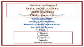 Docentes:
Dr. Ricardo Giler
Dr. Geovanny Cañar
Expositor(a):
Mercedes A. Robles Galarza
 