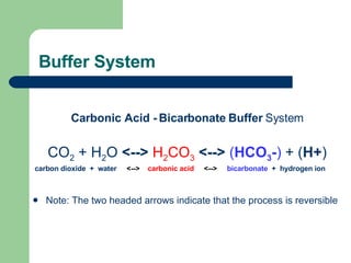 Buffer System Carbonic Acid -   Bicarbonate Buffer  System CO 2  + H 2 O  <-->   H 2 CO 3   <-->   ( HCO 3 - )  + ( H+ ) carbon dioxide  +  water  <-->   carbonic acid  <-->  bicarbonate  +  hydrogen ion Note: The two headed arrows indicate that the process is reversible 