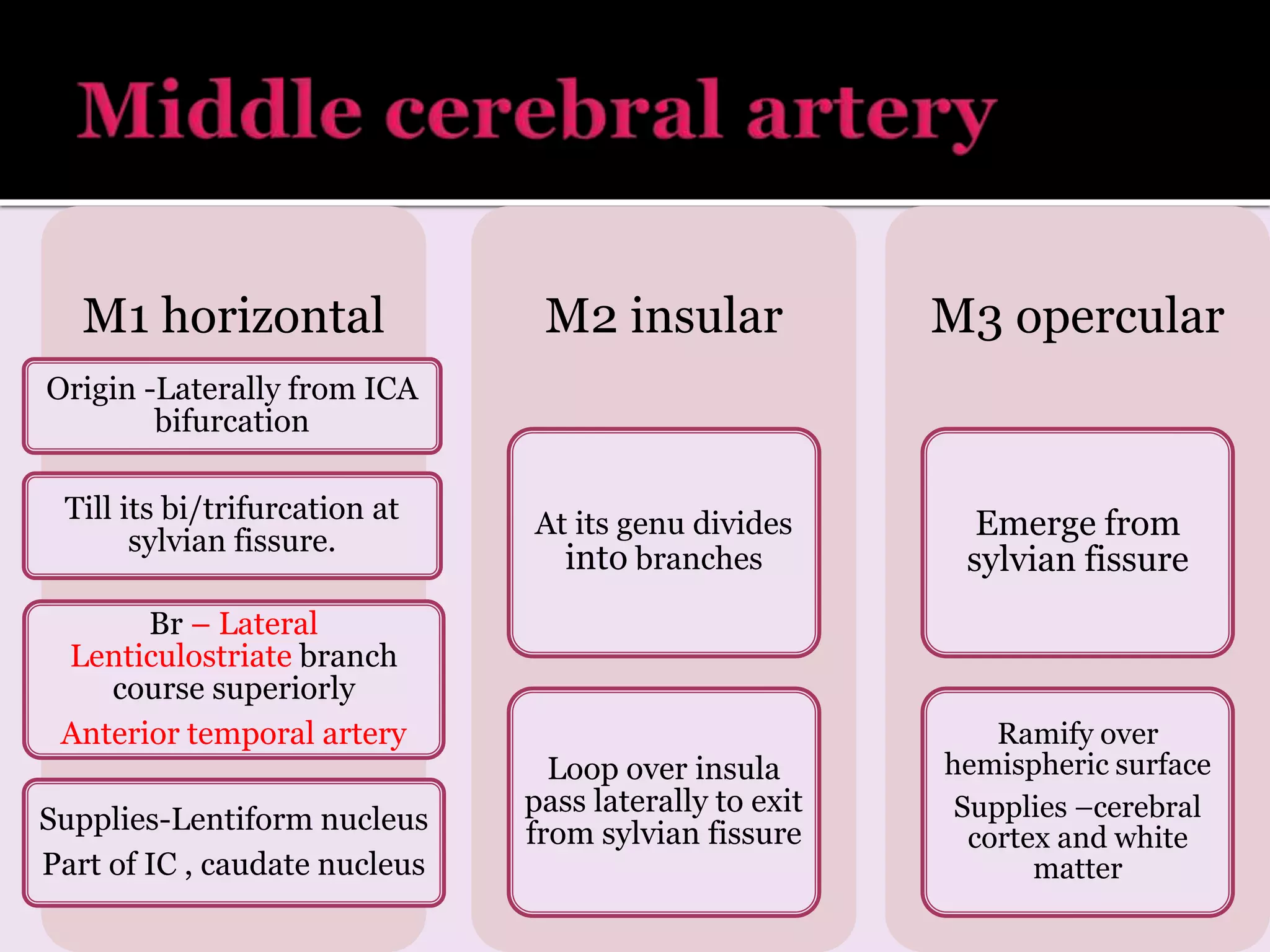 M1 horizontal
Origin -Laterally from ICA
bifurcation
Till its bi/trifurcation at
sylvian fissure.
Br – Lateral
Lenticulostriate branch
course superiorly
Anterior temporal artery
Supplies-Lentiform nucleus
Part of IC , caudate nucleus
M2 insular
At its genu divides
into branches
Loop over insula
pass laterally to exit
from sylvian fissure
M3 opercular
Emerge from
sylvian fissure
Ramify over
hemispheric surface
Supplies –cerebral
cortex and white
matter
 