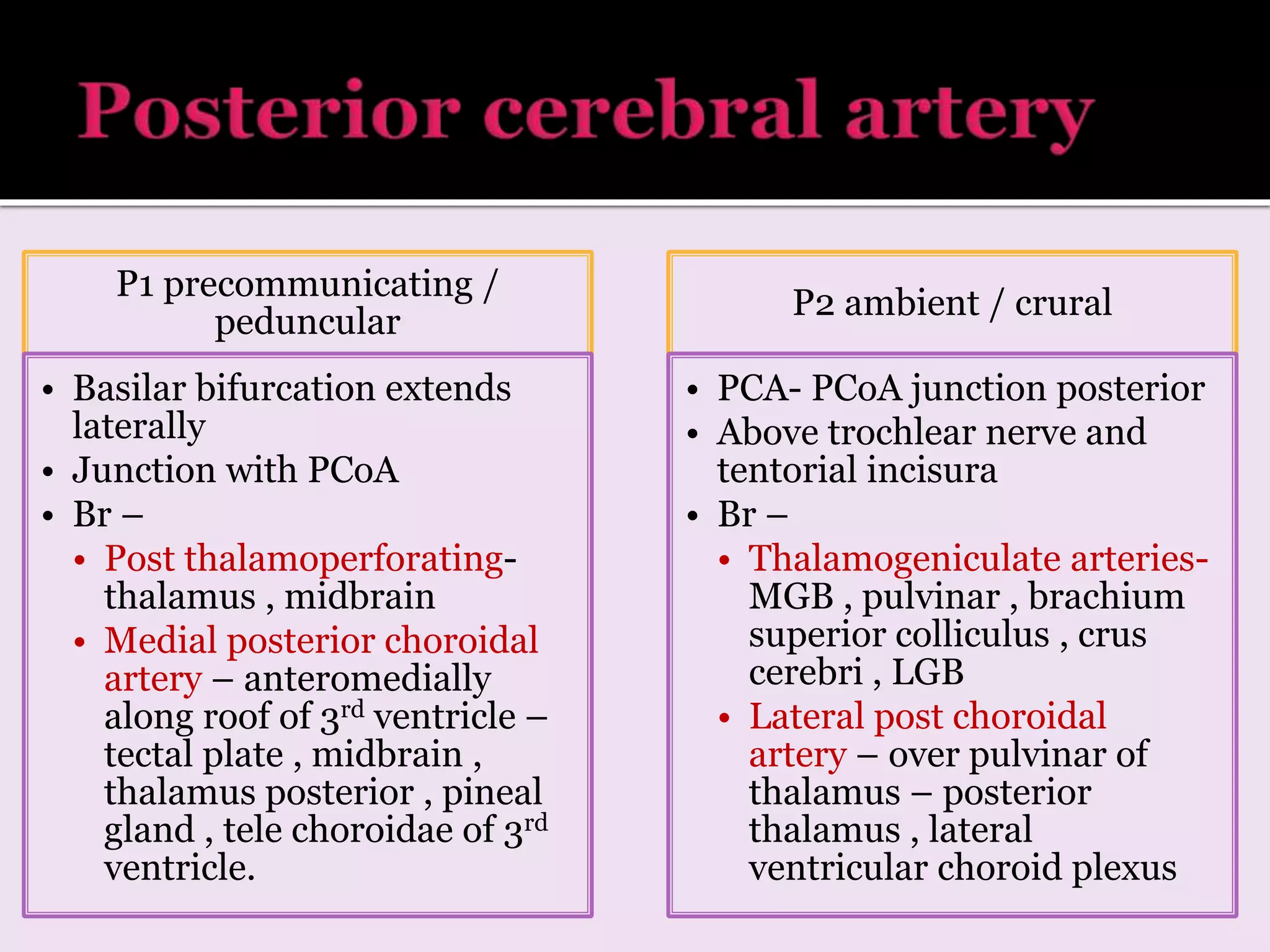 P1 precommunicating /
peduncular
• Basilar bifurcation extends
laterally
• Junction with PCoA
• Br –
• Post thalamoperforating-
thalamus , midbrain
• Medial posterior choroidal
artery – anteromedially
along roof of 3rd ventricle –
tectal plate , midbrain ,
thalamus posterior , pineal
gland , tele choroidae of 3rd
ventricle.
P2 ambient / crural
• PCA- PCoA junction posterior
• Above trochlear nerve and
tentorial incisura
• Br –
• Thalamogeniculate arteries-
MGB , pulvinar , brachium
superior colliculus , crus
cerebri , LGB
• Lateral post choroidal
artery – over pulvinar of
thalamus – posterior
thalamus , lateral
ventricular choroid plexus
 