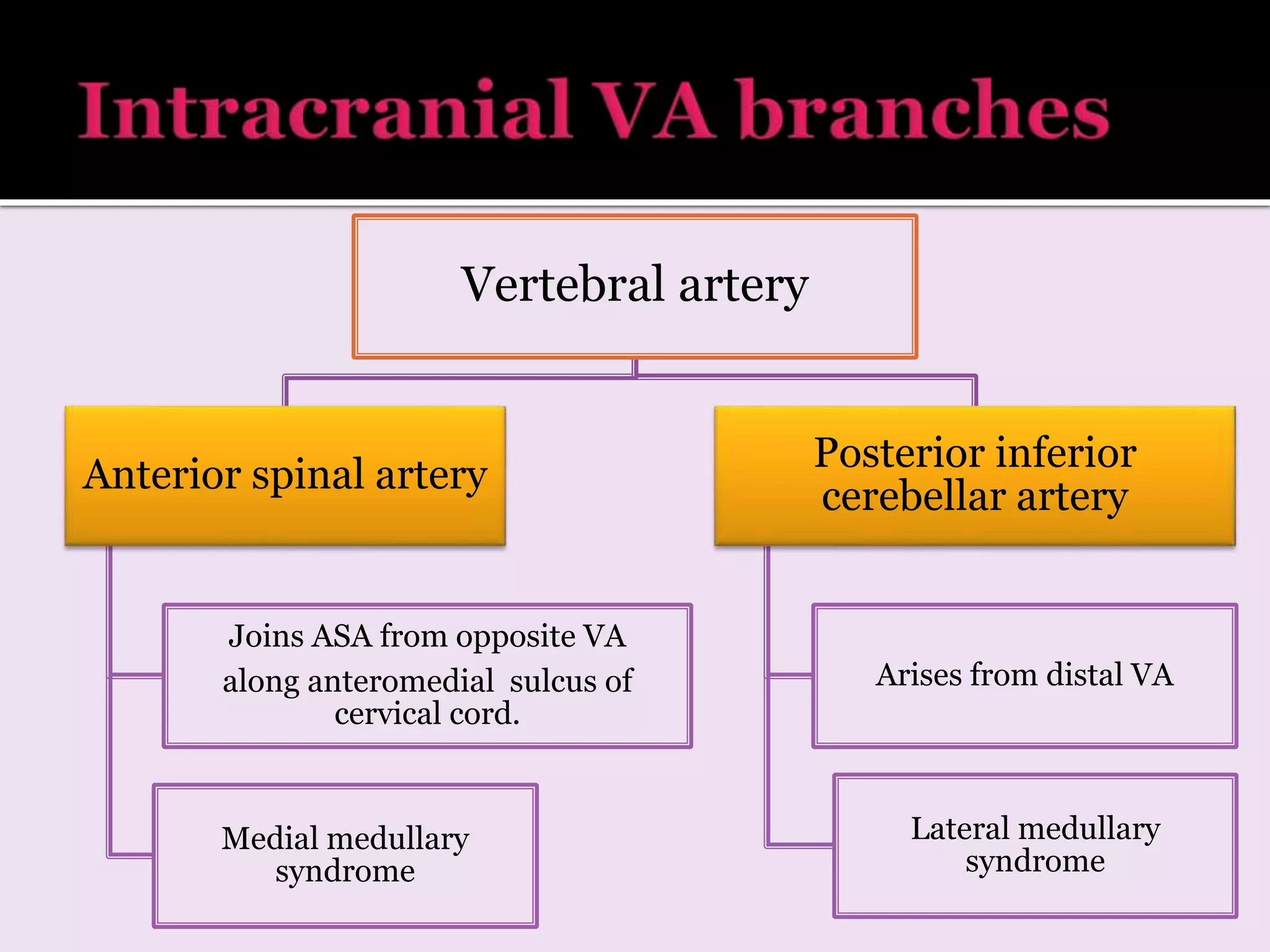 Vertebral artery
Anterior spinal artery
Joins ASA from opposite VA
along anteromedial sulcus of
cervical cord.
Medial medullary
syndrome
Posterior inferior
cerebellar artery
Arises from distal VA
Lateral medullary
syndrome
 
