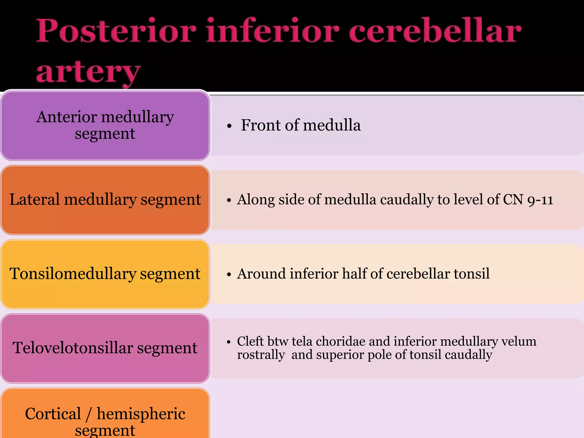 • Front of medulla
Anterior medullary
segment
• Along side of medulla caudally to level of CN 9-11Lateral medullary segment
• Around inferior half of cerebellar tonsilTonsilomedullary segment
• Cleft btw tela choridae and inferior medullary velum
rostrally and superior pole of tonsil caudallyTelovelotonsillar segment
Cortical / hemispheric
segment
 