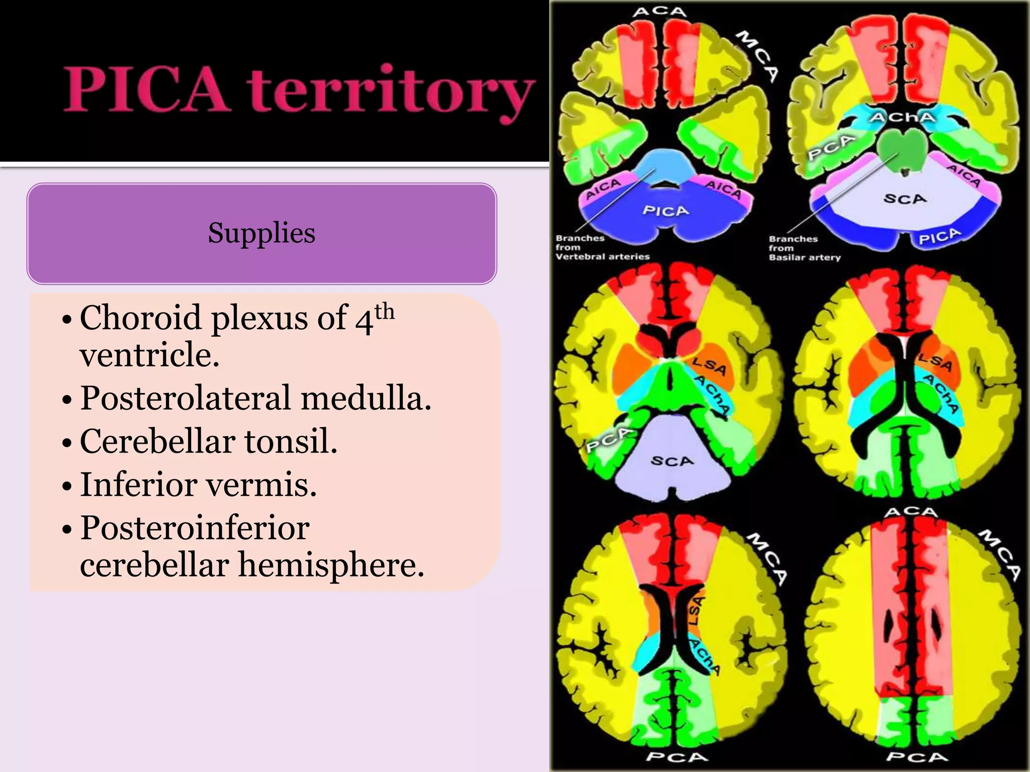 • Choroid plexus of 4th
ventricle.
• Posterolateral medulla.
• Cerebellar tonsil.
• Inferior vermis.
• Posteroinferior
cerebellar hemisphere.
Supplies
 