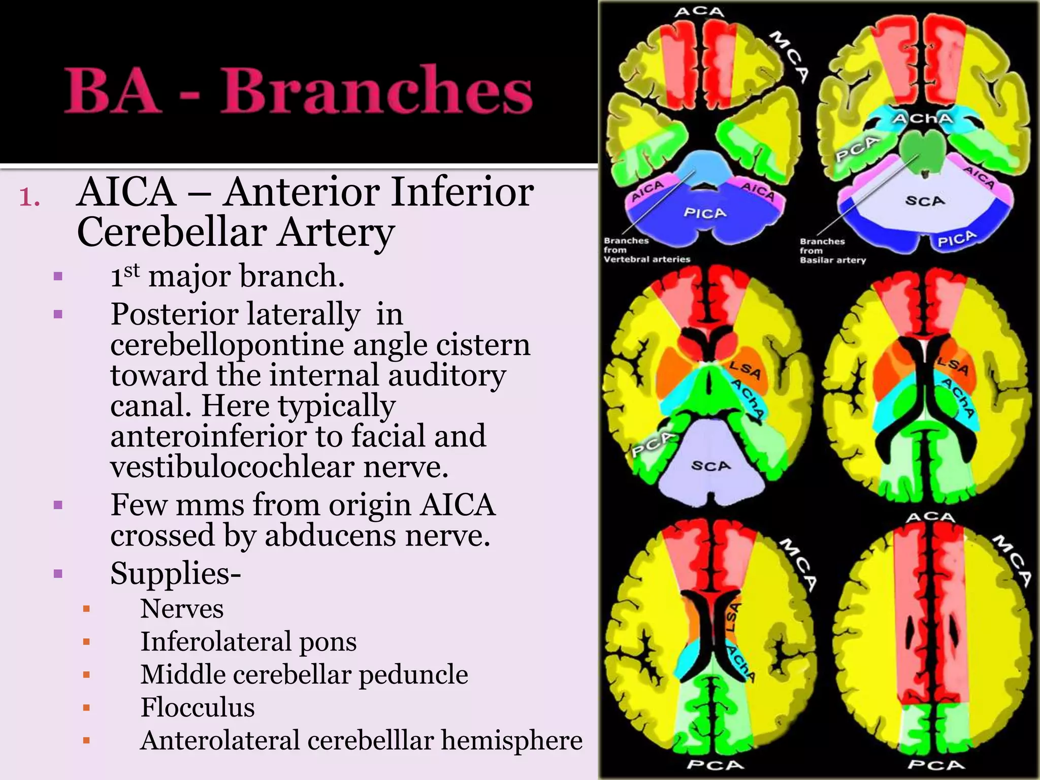 1. AICA – Anterior Inferior
Cerebellar Artery
 1st major branch.
 Posterior laterally in
cerebellopontine angle cistern
toward the internal auditory
canal. Here typically
anteroinferior to facial and
vestibulocochlear nerve.
 Few mms from origin AICA
crossed by abducens nerve.
 Supplies-
▪ Nerves
▪ Inferolateral pons
▪ Middle cerebellar peduncle
▪ Flocculus
▪ Anterolateral cerebelllar hemisphere
 