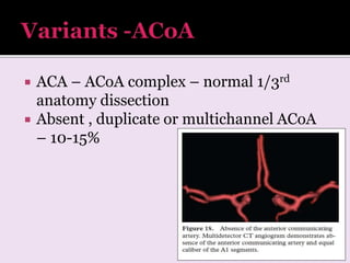 Arterial and venous supply of brain part2 | PPTX
