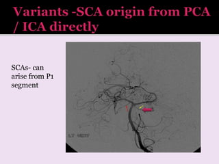 Scasc Map Arterial and venous supply of brain part2 | PPTX