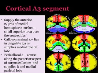 Arterial and venous supply of brain part2 | PPTX