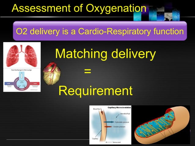 Arterial blood gas analysis assesment of oxygenation ventilation and ...