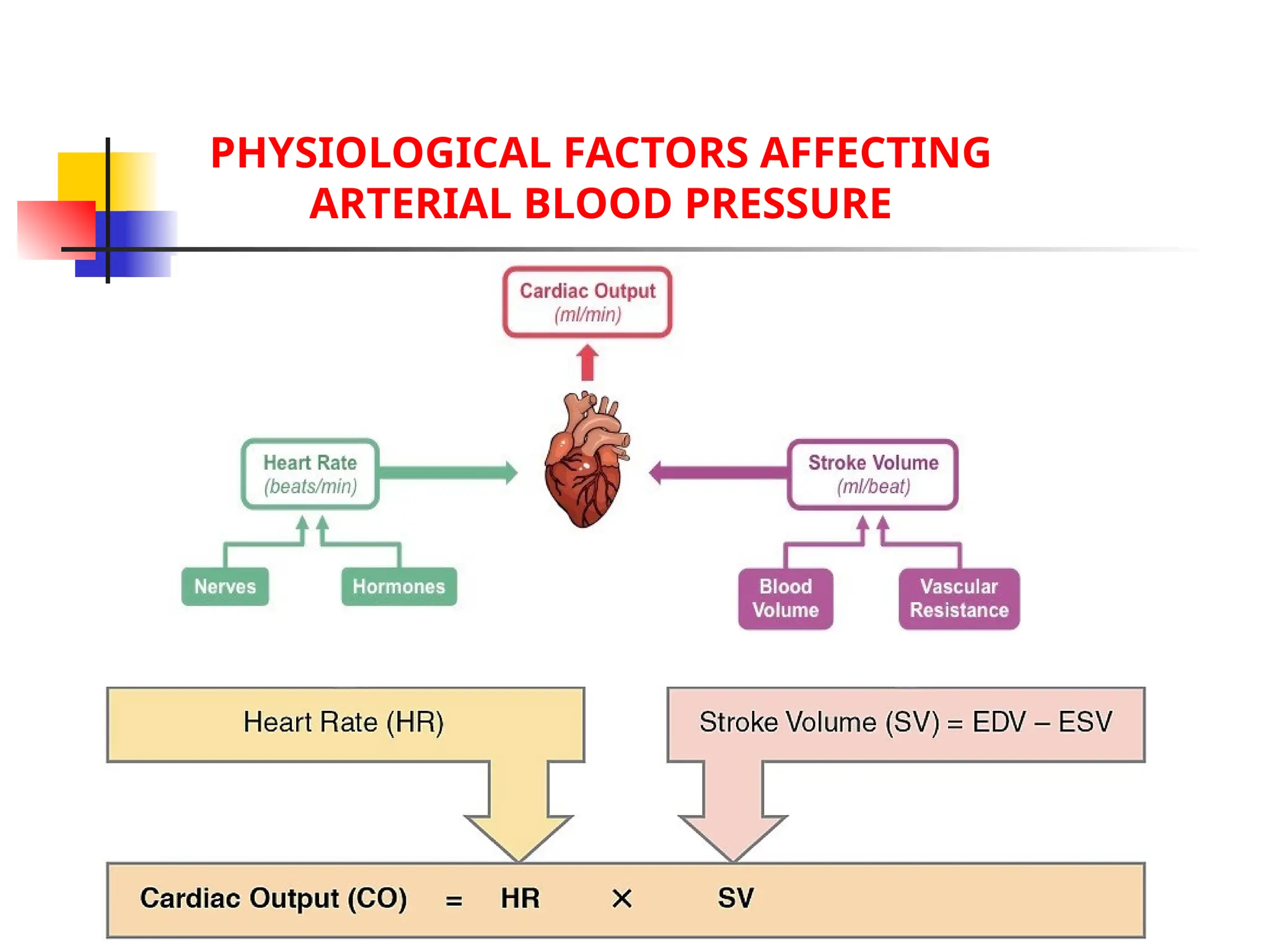 pmc.ncbi.nlm.nih.gov