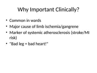 Peripheral Arterial Disease Presentation Overview | PPTX