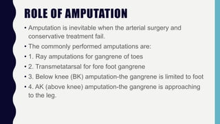 ROLE OF AMPUTATION
• Amputation is inevitable when the arterial surgery and
conservative treatment fail.
• The commonly performed amputations are:
• 1. Ray amputations for gangrene of toes
• 2. Transmetatarsal for fore foot gangrene
• 3. Below knee (BK) amputation-the gangrene is limited to foot
• 4. AK (above knee) amputation-the gangrene is approaching
to the leg.
 