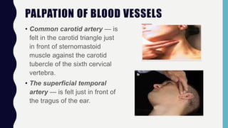 PALPATION OF BLOOD VESSELS
• Common carotid artery — is
felt in the carotid triangle just
in front of sternomastoid
muscle against the carotid
tubercle of the sixth cervical
vertebra.
• The superficial temporal
artery — is felt just in front of
the tragus of the ear.
 