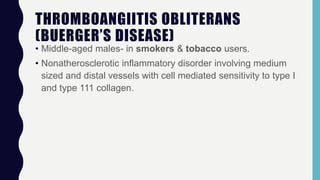 THROMBOANGIITIS OBLITERANS
(BUERGER’S DISEASE)
• Middle-aged males- in smokers & tobacco users.
• Nonatherosclerotic inflammatory disorder involving medium
sized and distal vessels with cell mediated sensitivity to type I
and type 111 collagen.
 