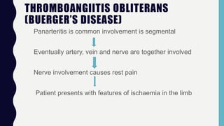 THROMBOANGIITIS OBLITERANS
(BUERGER’S DISEASE)
Panarteritis is common involvement is segmental
Eventually artery, vein and nerve are together involved
Nerve involvement causes rest pain
Patient presents with features of ischaemia in the limb
 