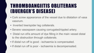 THROMBOANGIITIS OBLITERANS
(BUERGER’S DISEASE)
• Cork screw appearance of the vessel due to dilatation of vasa
vasorum.
• Inverted tree/spider leg collaterals.
• Severe vasospasm causing corrugated/rippled artery.
• Distal run of/is amount of dye filling in the main vessel distal
to the obstruction through collaterals.
• If distal run off is good - ischaemia is compensated.
• If distal run off is poor - ischaemia is decompensated.
 