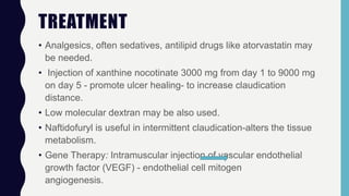 TREATMENT
• Analgesics, often sedatives, antilipid drugs like atorvastatin may
be needed.
• Injection of xanthine nocotinate 3000 mg from day 1 to 9000 mg
on day 5 - promote ulcer healing- to increase claudication
distance.
• Low molecular dextran may be also used.
• Naftidofuryl is useful in intermittent claudication-alters the tissue
metabolism.
• Gene Therapy: Intramuscular injection of vascular endothelial
growth factor (VEGF) - endothelial cell mitogen
angiogenesis.
 
