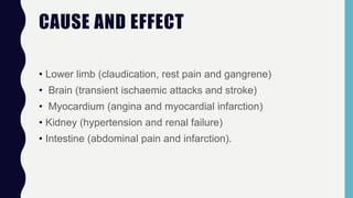 CAUSE AND EFFECT
• Lower limb (claudication, rest pain and gangrene)
• Brain (transient ischaemic attacks and stroke)
• Myocardium (angina and myocardial infarction)
• Kidney (hypertension and renal failure)
• Intestine (abdominal pain and infarction).
 