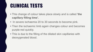 CLINICAL TESTS
• This change of colour takes place slowly and is called 'the
capillary filling time'.
• In severe ischaemia 20 to 30 seconds to become pink.
• Then the ischaemic limb again changes colour and becomes
purple-red quickly.
• This is due to the filling of the dilated skin capillaries with
deoxygenated blood.
 