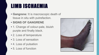 LIMB ISCHAEMIA
• Gangrene: It is macroscopic death of
tissue in situ with putrefaction.
• SIGNS OF GANGRENE
• 1. Change of colour-pale, bluish
purple and finally black.
• 2. Loss of temperature
• 3. Loss of sensation
• 4. Loss of pulsation
• 5. Loss of function
 