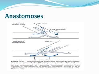 Arterial physiology | PPTX
