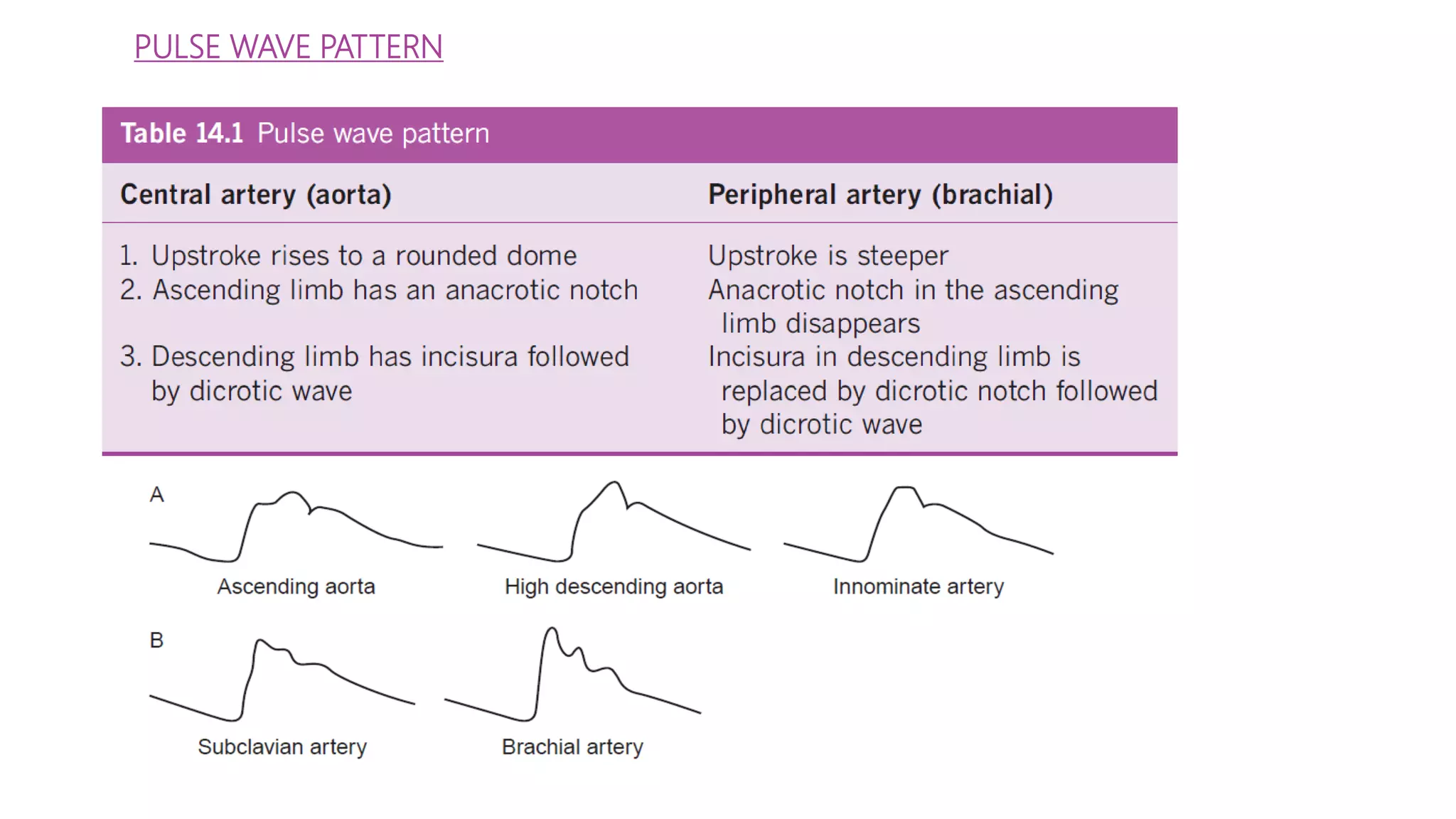 PULSE WAVE PATTERN
 