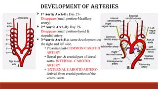 Arterial Supply of head and neck , jaws, maxilla.ppt