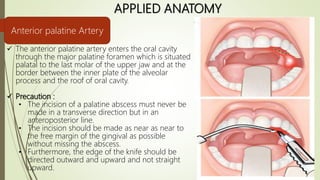 Arterial supply of head and neck | PPTX