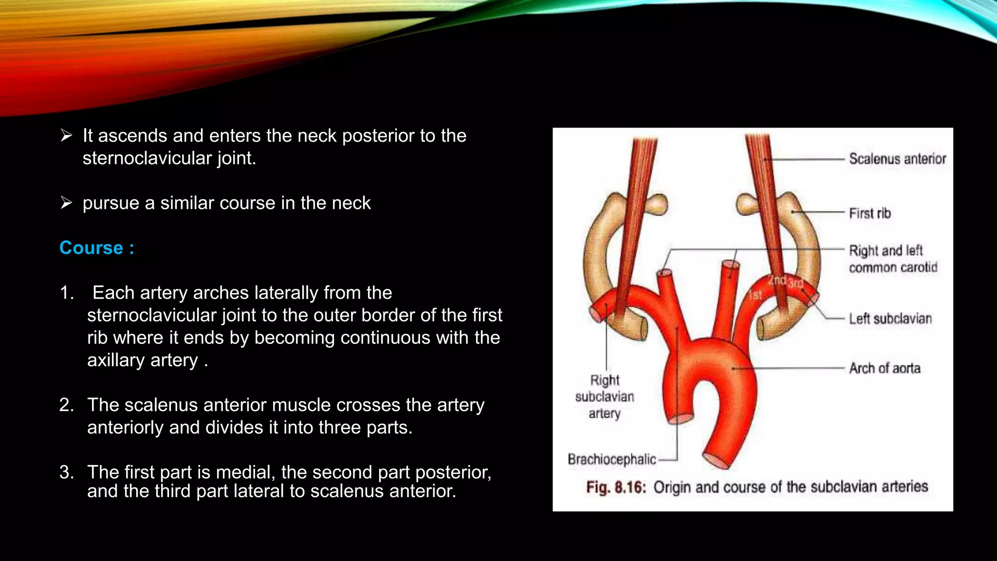 Blood supply of head and neck | PPTX