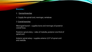 Blood supply of head and neck | PPTX