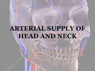 ARTERIAL SUPPLY OF
HEAD AND NECK
 
