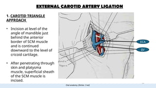 ARTERIAL SUPPLY OF HEAD AND NECK final.pptx............... | PPTX