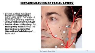 ARTERIAL SUPPLY OF HEAD AND NECK final.pptx............... | PPTX