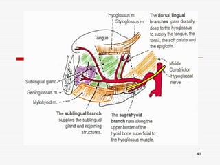 Arterial supply of head and neck | PPT