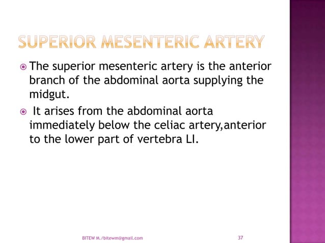 Arterial supply of the Abdomen : Abdominal Aorta | PPTX | Heart and ...