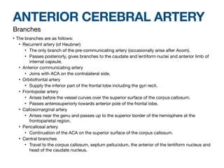ARTERIAL SUPPLY OF THE CNS anantomyof radiology.pdf