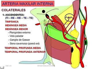 JOSÉ LUIS 8ARTERIA MAXILAR INTERNA
 