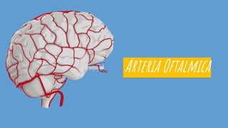 Arteria Oftalmica
 