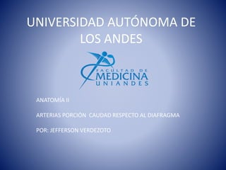 UNIVERSIDAD AUTÓNOMA DE
LOS ANDES
ANATOMÍA II
ARTERIAS PORCIÓN CAUDAD RESPECTO AL DIAFRAGMA
POR: JEFFERSON VERDEZOTO
 