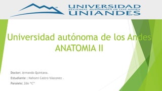 Universidad autónoma de los Andes
ANATOMIA II
Doctor: Armando Quintana.
Estudiante : Nahomi Castro Vásconez .
Paralelo: 2do “C”
 