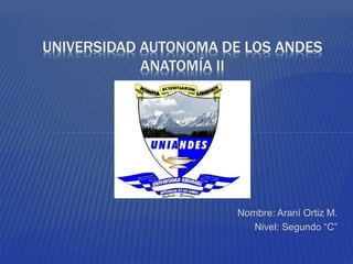 Nombre: Araní Ortiz M.
Nivel: Segundo “C”
UNIVERSIDAD AUTONOMA DE LOS ANDES
ANATOMÍA II
 