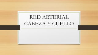 RED ARTERIAL
CABEZA Y CUELLO
 
