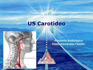 US Carotideo Anatomía Radiológica Pablo Hernández Castillo 