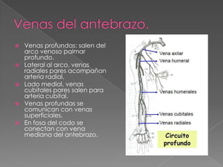 









Venas profundas: salen del
arco venoso palmar
profundo.
Lateral al arco, venas
radiales pares acompañan
arteria radial.
Lado medial, venas
cubitales pares salen para
arteria cubital.
Venas profundas se
comunican con venas
superficiales.
En fosa del codo se
conectan con vena
mediana del antebrazo.

 