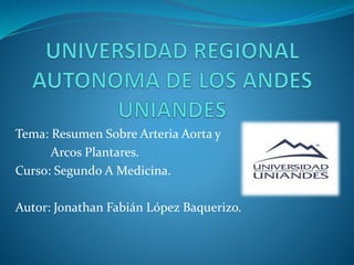 Tema: Resumen Sobre Arteria Aorta y
Arcos Plantares.
Curso: Segundo A Medicina.
Autor: Jonathan Fabián López Baquerizo.
 