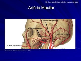 Artéria Maxilar
Revisão anatômica: artérias e veias da face.
Fonte: Sobotta, Altlas de Anatomia Humana, 5º Ed.
 