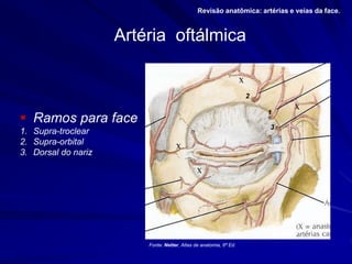 Artéria oftálmica
 Ramos para face
1. Supra-troclear
2. Supra-orbital
3. Dorsal do nariz
Revisão anatômica: artérias e veias da face.
1
2
3
Fonte: Netter, Atlas de anatomia, 6ª Ed.
 