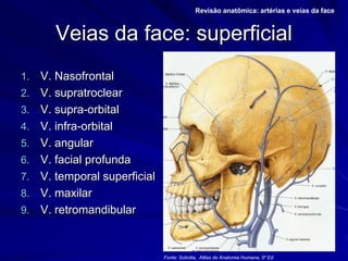 Veias da face: superficial
1. V. Nasofrontal
2. V. supratroclear
3. V. supra-orbital
4. V. infra-orbital
5. V. angular
6. V. facial profunda
7. V. temporal superficial
8. V. maxilar
9. V. retromandibular
Revisão anatômica: artérias e veias da face.
Fonte: Sobotta, Altlas de Anatomia Humana, 5º Ed.
 