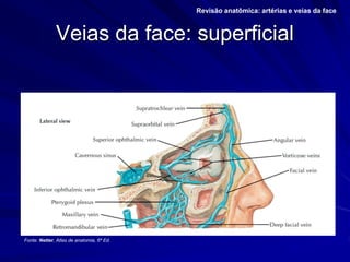 Veias da face: superficial
Revisão anatômica: artérias e veias da face.
Fonte: Netter, Atlas de anatomia, 6ª Ed.
 