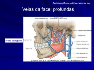 Maxilar
Plexo pterigóide
Veias da face: profundas
Revisão anatômica: artérias e veias da face.
 