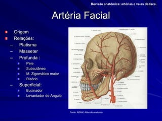 Artéria Facial
Origem
Relações:
– Platisma
– Masseter
– Profunda :
Pele
Subcutâneo
M. Zigomático maior
Risório
– Superficial:
Bucinador
Levantador do Angulo
Revisão anatômica: artérias e veias da face.
Fonte: ADAM, Atlas de anatomia
 